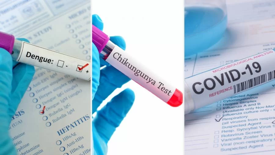 Casos de dengue aumentam 139% no Tocantins em relação a 2023; Covid-19 e Chikungunya também preocupam