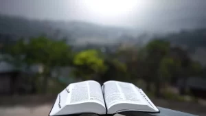 Confira a palavra de Deus desta quinta-feira, 28