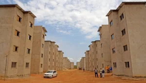 Governo do Tocantins autoriza doação de lotes para habitação de interesse social em Palmas