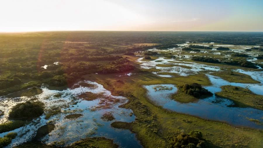 Reduções dramáticas na perda de florestas primárias no Brasil coincide com mudanças políticas; Tocantins não entra na lista