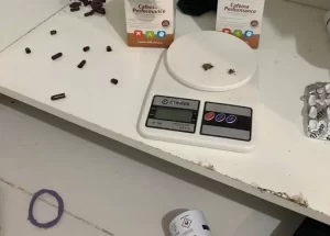 PF desarticula grupo acusado de vender cocaína em estabelecimentos comerciais em Palmas