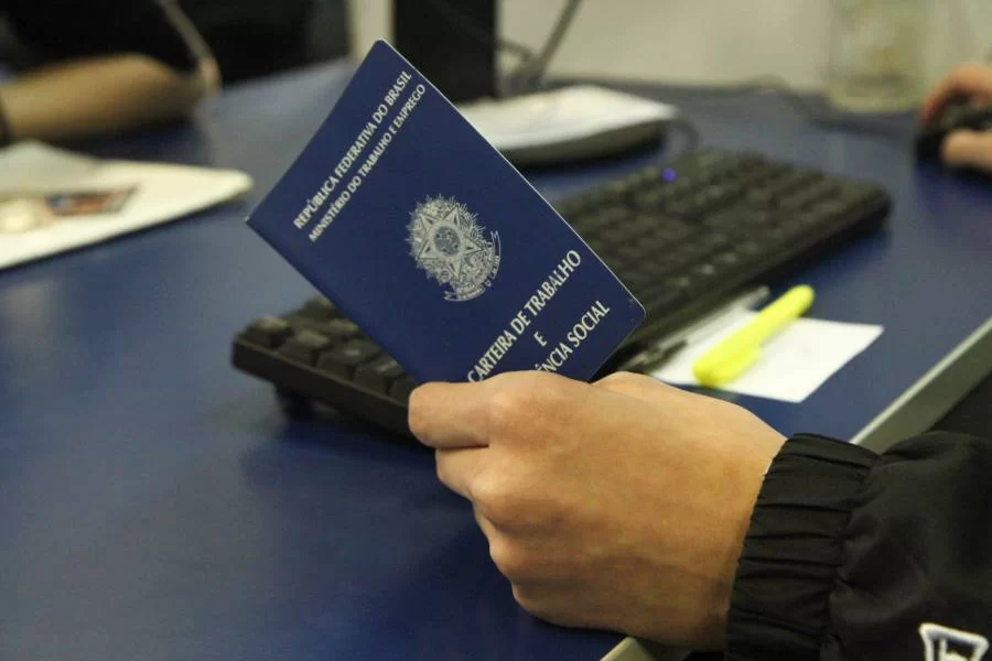 Caged: painel mostra que Tocantins tem resultado positivo em todos os setores avaliados; confira o ranking dos municípios