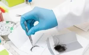 Norte: prazo para exame toxicológico vence dia 30 para 3,4 milhões de motoristas que estão em situação irregular