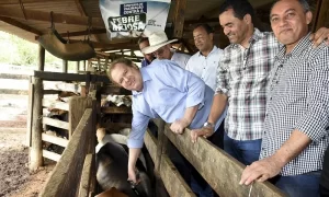 Livre da Febre Aftosa hÃÂ¡ 21 anos, Tocantins exporta carne bovina para 36 paÃÂ­ses