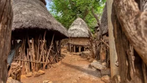 No Tocantins, mais da metade dos indígenas tem até 25 anos