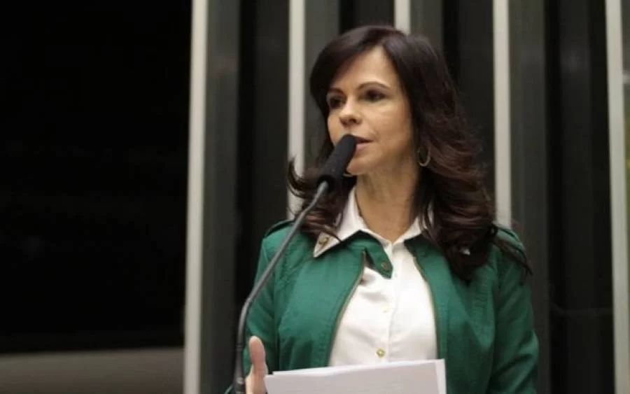 Do mesmo partido de Onyx Lorenzoni, Dorinha acredita que legenda caminharÃÂ¡ coletivamente com Bolsonaro