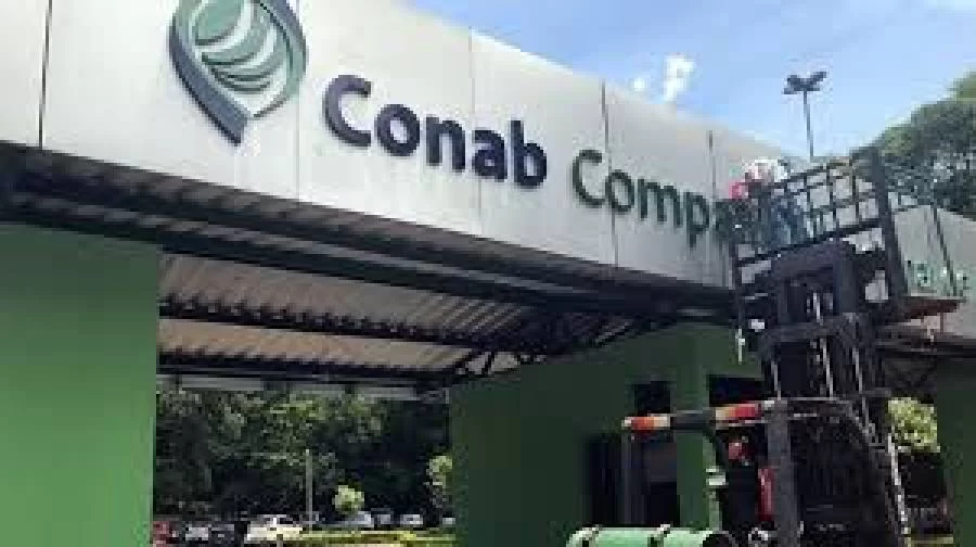 Governo Federal autoriza importação de arroz e define a Conab para executar operações de compra