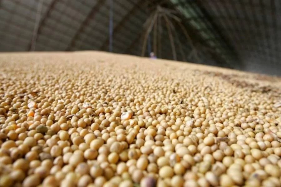 Porto Nacional registra novo recorde em exportações para o primeiro quadrimestre