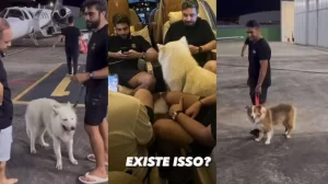 Henrique & Juliano sequestram pets e Nattan e os levam para Palmas, veja o vídeo