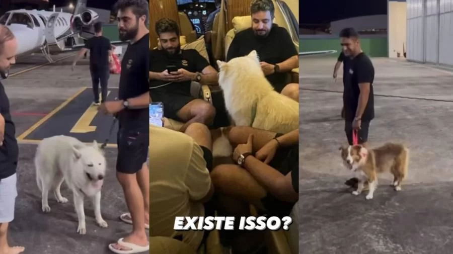 Henrique & Juliano sequestram pets e Nattan e os levam para Palmas, veja o vídeo