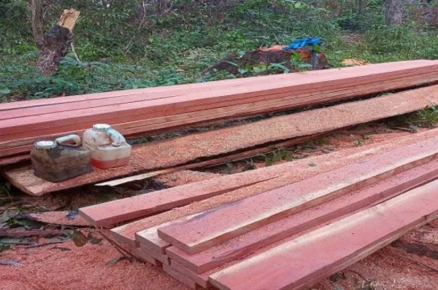 PF prende suspeitos de desmatamento em áreas reservadas para revenda de forma ilegal