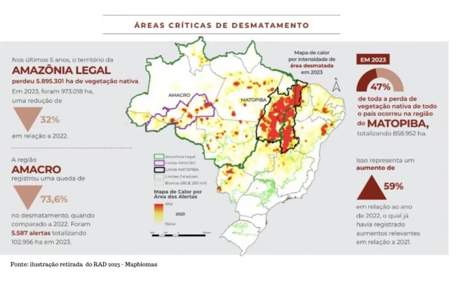 Tocantins cai no ranking de estados que mais desmatam