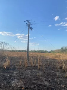 IncidÃªncia de queimadas no Tocantins caem quase 40%