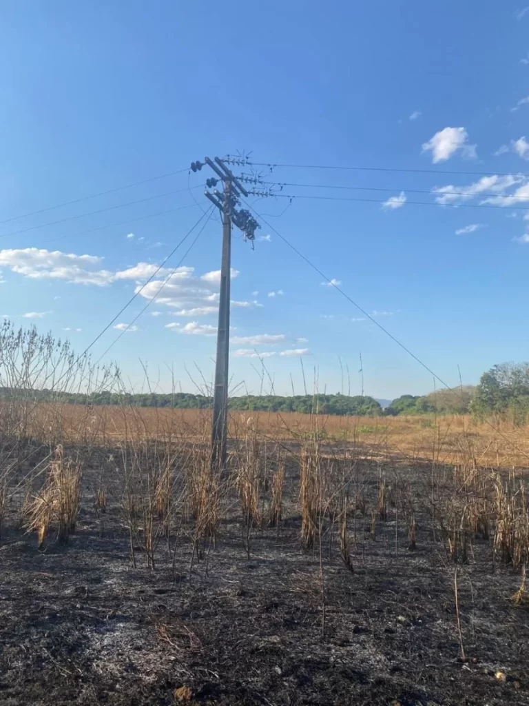 IncidÃªncia de queimadas no Tocantins caem quase 40%