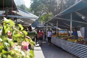 Inflação acelera 0,6% em maio, saiba quais os impactos no bolso dos goianos e tocantinenses