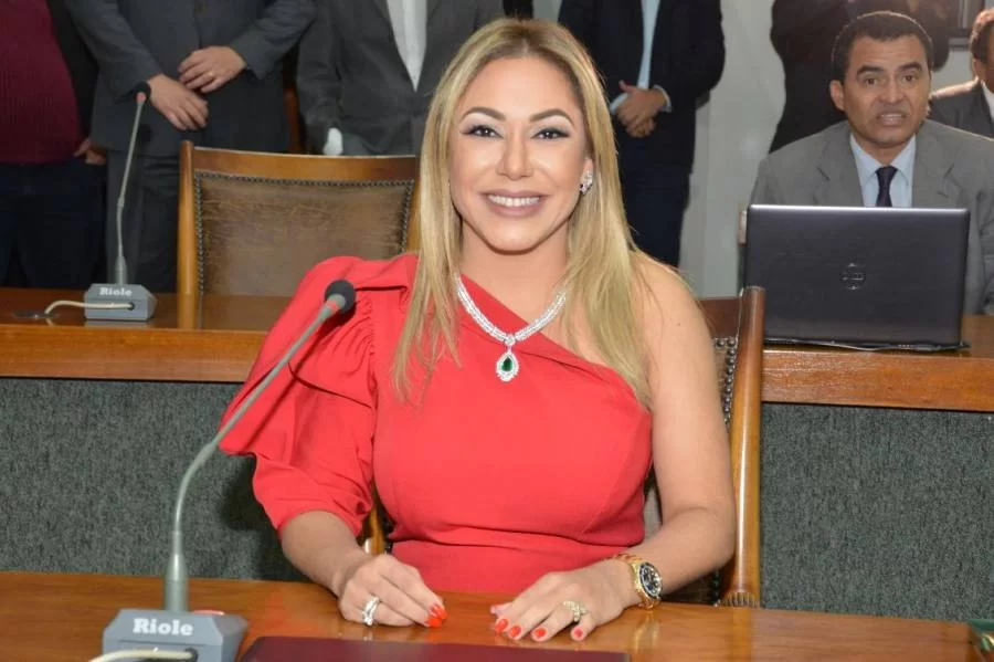 LDO ÃÂ© aprovada com emenda aditiva de Luana para realizaÃÂ§ÃÂ£o e continuidade de Concursos