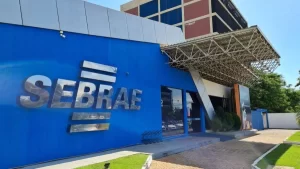 Abertura de MEIs lidera crescimento de pequenos negócios no Tocantins em 2024