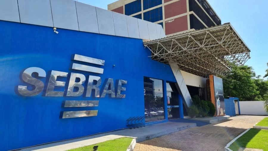 Abertura de MEIs lidera crescimento de pequenos negócios no Tocantins em 2024
