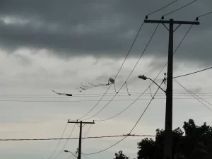 Tocantins tem aumento de 23% nas interrupções de energia devido a pipas e objetos na rede elétrica