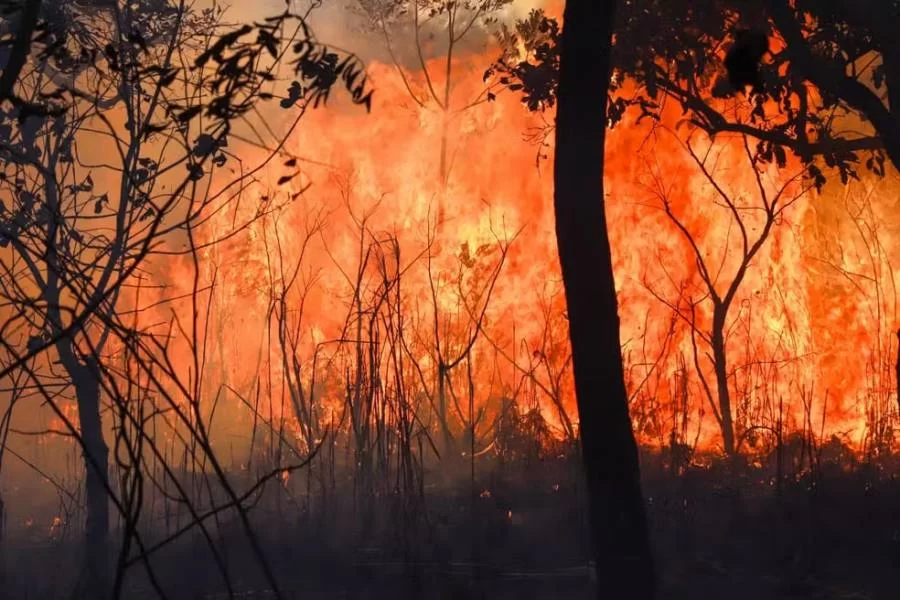 IncÃªndio de grandes proporções atinge vegetação próxima ao Aeroporto Brigadeiro Lysias Rodrigues