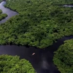 Dia da Árvore passou, mas o desafio continua: educação ambiental aproxima estudantes da preservação da natureza no Tocantins