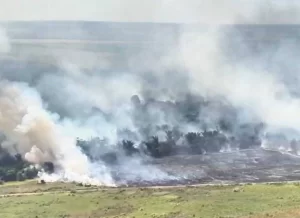 Corpo de Bombeiros realiza operação para combater incÃªndio de grande proporção na Fazenda Guarabu, em Araguaína