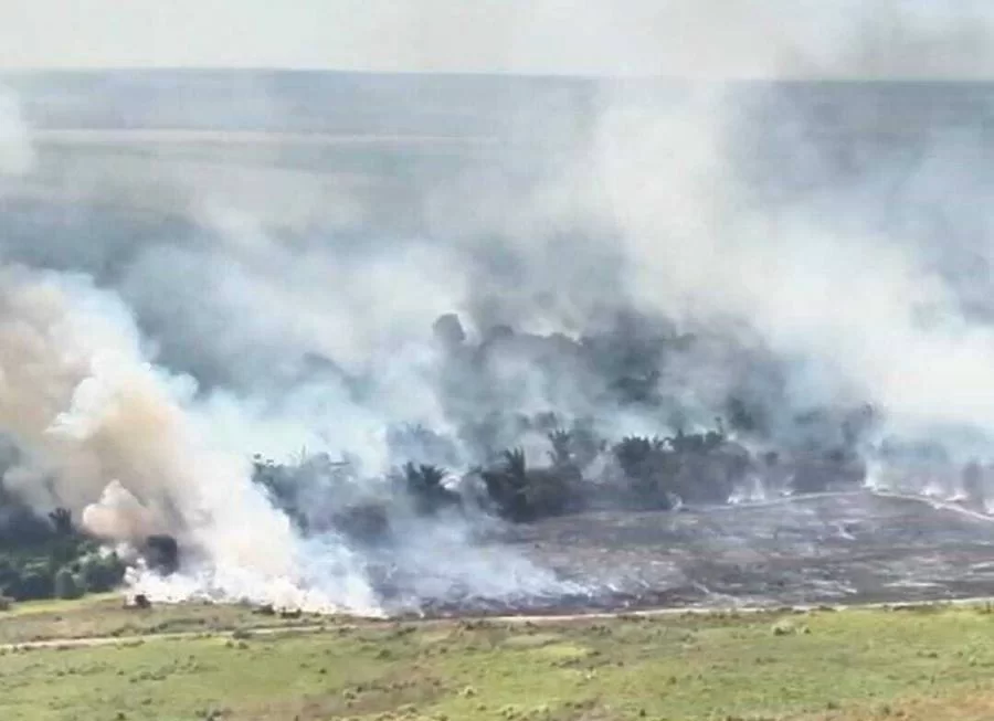 Corpo de Bombeiros realiza operação para combater incÃªndio de grande proporção na Fazenda Guarabu, em Araguaína