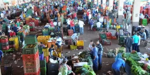 Dados do Ceasa apontam para diferenças exorbitantes de preço entre Tocantins e Goiás; confira