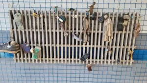 BRK limpa 97,7 km de redes de esgoto em Palmas no primeiro semestre de 2024