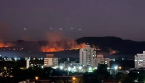 Chamas queimam mais de 25 hectares de vegetação nativa durante grave incÃªndio registrado no perímetro de Palmas