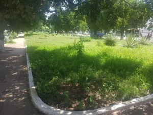 Vereador  Coutinho cobra do municÃÂ­pio limpeza das praÃÂ§as pÃÂºblicas de Colinas