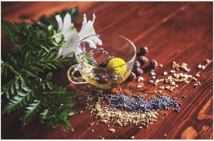 O poder dos chÃÂ¡s :ConheÃÂ§a algumas plantas que podem ajudar na sua saÃÂºde