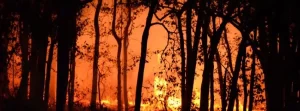 Incêndios recuam no Tocantins e área queimada em unidades de conservação cai em 2025
