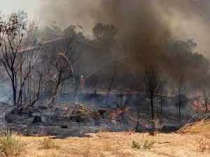 Paraíso em Chamas: Fogo e fumaça transformam vida de moradores em inferno!