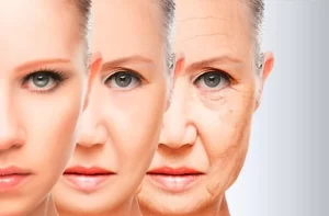 USP utiliza minicérebros para identificar genes que protegem contra doenças neurodegenerativas