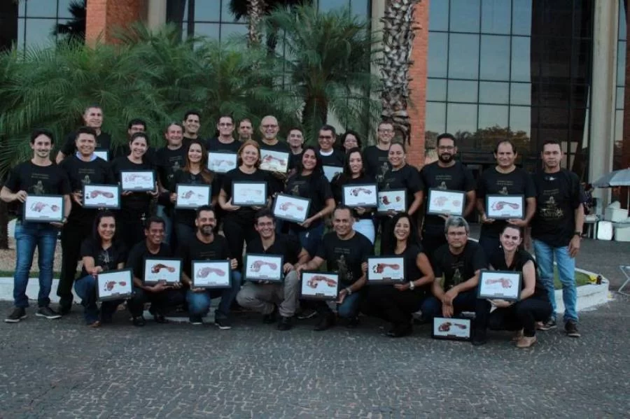 Oficiais de JustiÃÂ§a do Tocantins correm o risco de terem os seus cargos extintos