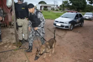 PolÃÂ­cia Civil da Capital deflagra OperaÃÂ§ÃÂ£o Ponto Inicial em Palmas