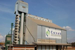 Conab divulga produtos com descontos no financiamento de agricultores em dezembro