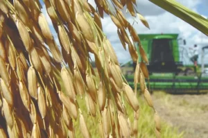 Conab amplia capacidade de secagem em armazÃÂ©m de Formoso do Araguaia