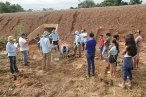EHL comeÃÂ§a trabalho de recuperaÃÂ§ÃÂ£o ambiental na TO 447