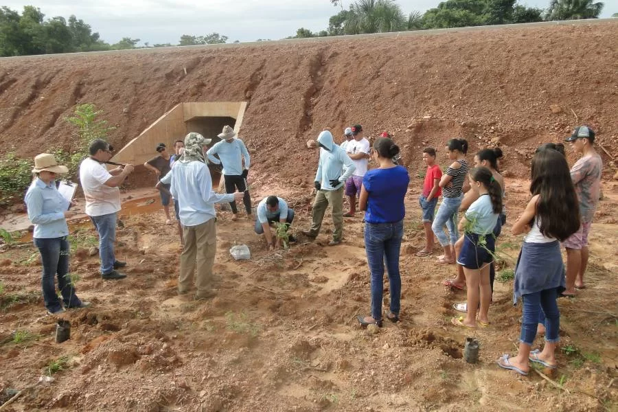 EHL comeÃÂ§a trabalho de recuperaÃÂ§ÃÂ£o ambiental na TO 447