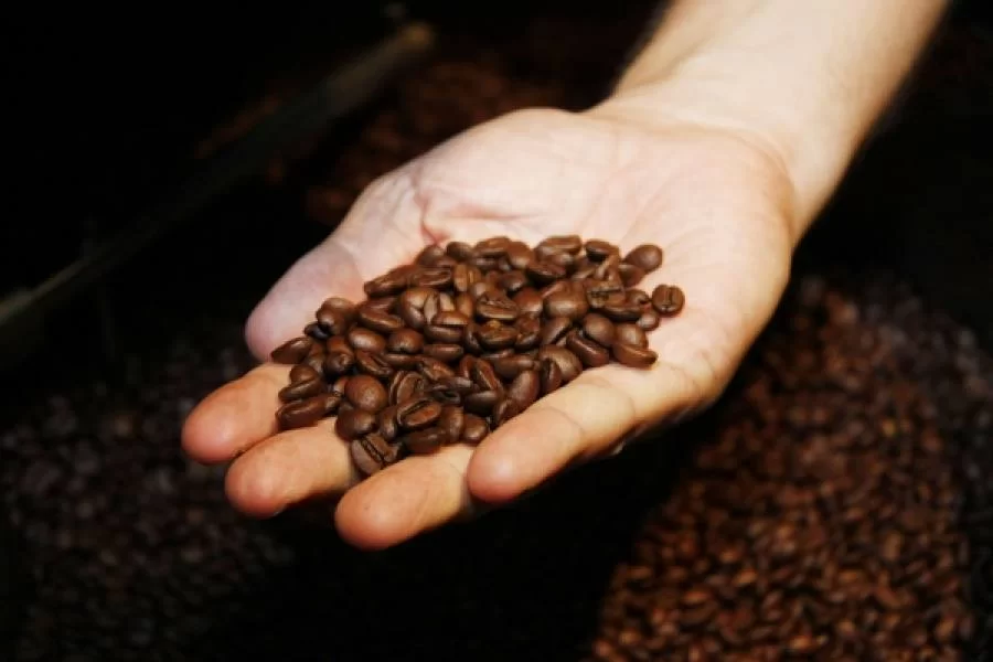 Conab revela produÃÂ§ÃÂ£o recorde de cafÃÂ© em 2018 com 61,7 milhÃÂµes de sacas