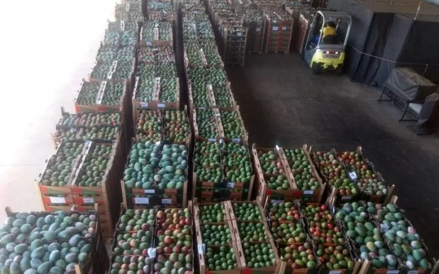 TECA/Palmas serÃÂ¡ operado pela Ponta Negra LogÃÂ­stica