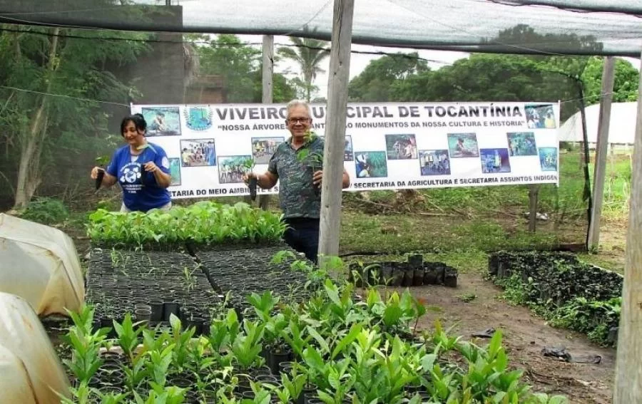 Viveiro municipal de TocantÃÂ­nia produz e distribui gratuitamente mudas de ÃÂ¡rvores frutÃÂ­feras e nativas