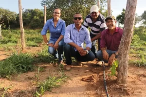 2019 comeÃÂ§a com boas expectativas para produÃÂ§ÃÂ£o de pimentas no Tocantins