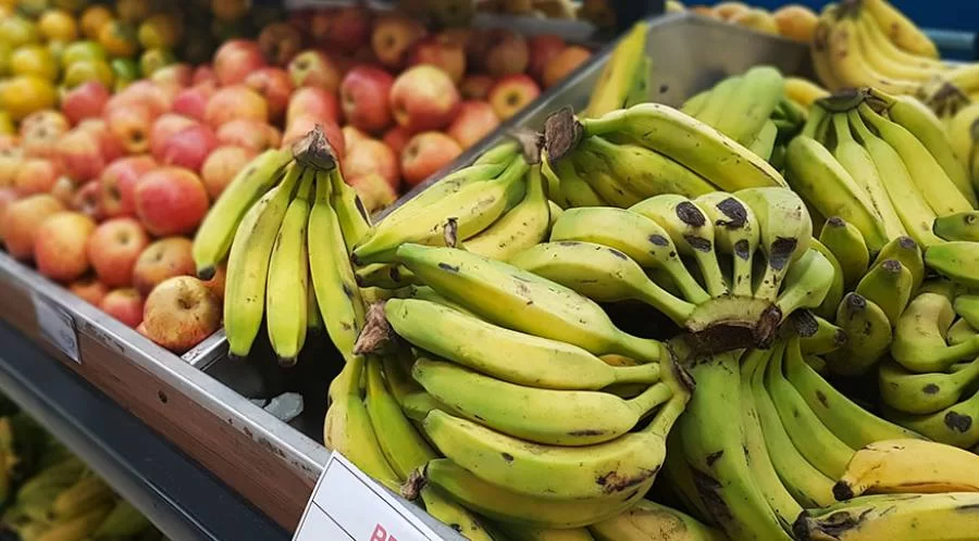 PrÃÂ©via da inflaÃÂ§ÃÂ£o fica em 0,30% e tem menor taxa para janeiro desde 1995 , diz IBGE