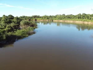 MPE requer parecer tÃÂ©cnico sobre possÃÂ­vel suspensÃÂ£o de captaÃÂ§ÃÂ£o de ÃÂ¡gua na Bacia Rio Formoso