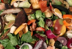 Restos de alimentos do HGP sÃÂ£o reaproveitados e auxiliam o meio ambiente