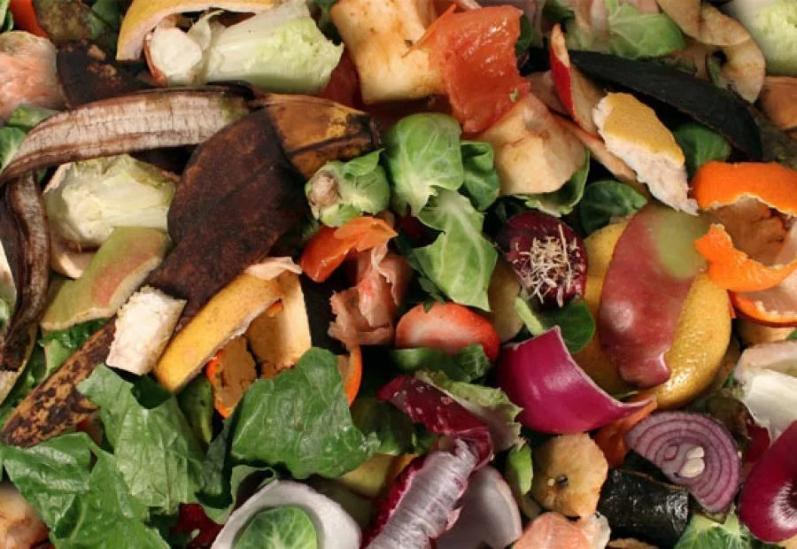 Restos de alimentos do HGP sÃÂ£o reaproveitados e auxiliam o meio ambiente