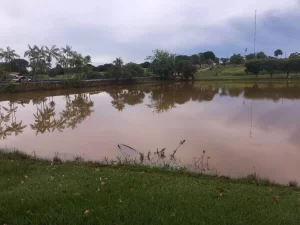 Principal cartÃÂ£o postal de Colinas sofre com mortandade de peixes